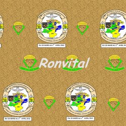 Item No.G013 Chinese most competitive factory customized charitable organization wax print fabric